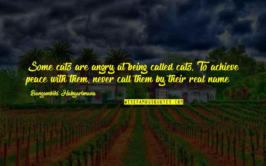 Cat Call Quotes By Bangambiki Habyarimana: Some cats are angry at being called cats.