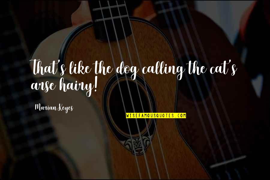 Cat Calling Quotes By Marian Keyes: That's like the dog calling the cat's arse