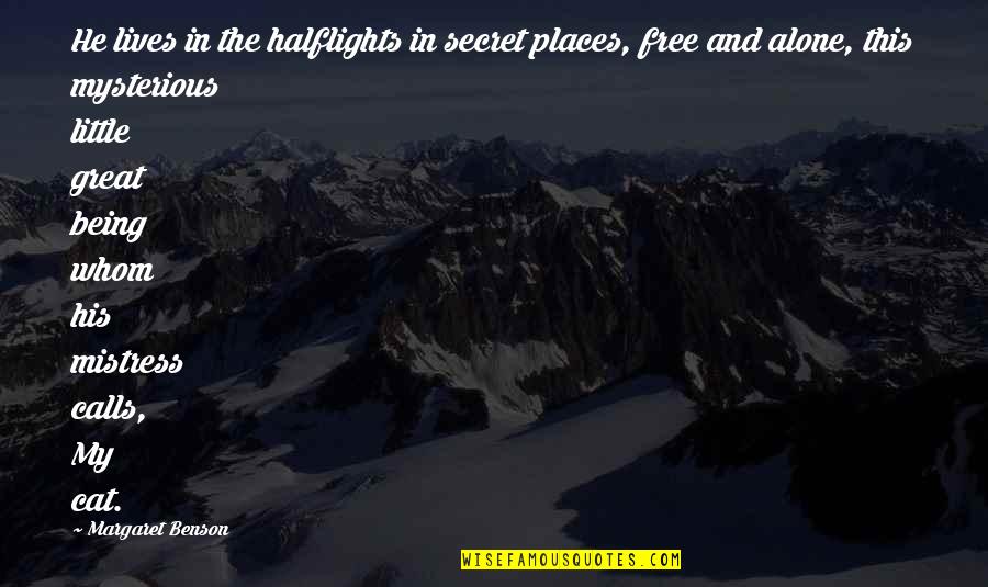 Cat Calls Quotes By Margaret Benson: He lives in the halflights in secret places,