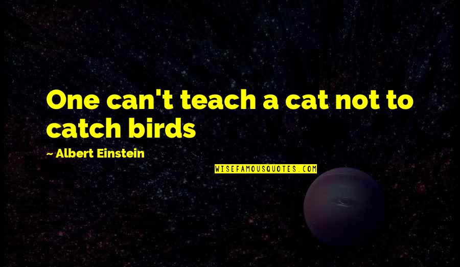 Cat Cat Quotes By Albert Einstein: One can't teach a cat not to catch