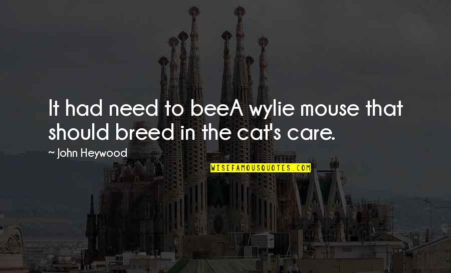 Cat Cat Quotes By John Heywood: It had need to beeA wylie mouse that