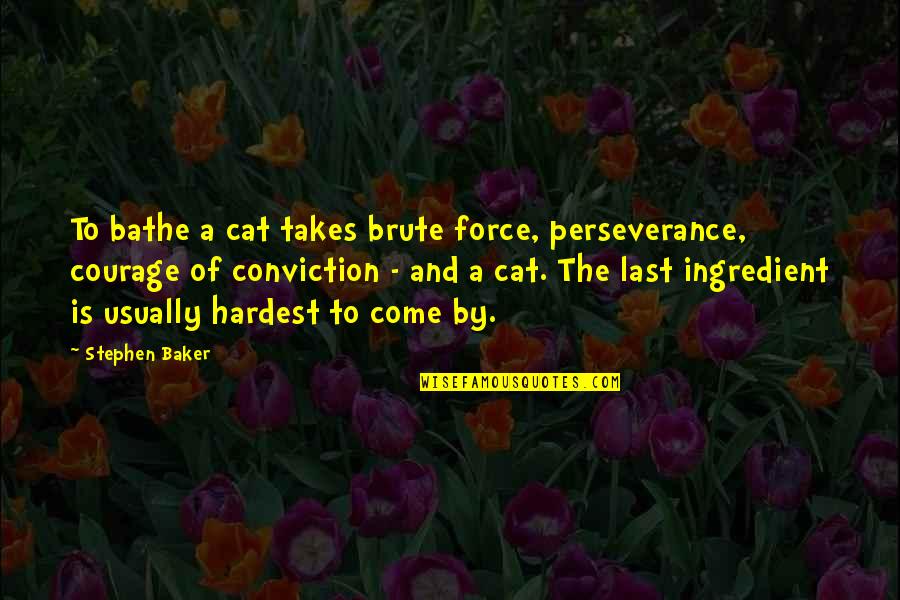 Cat Cat Quotes By Stephen Baker: To bathe a cat takes brute force, perseverance,