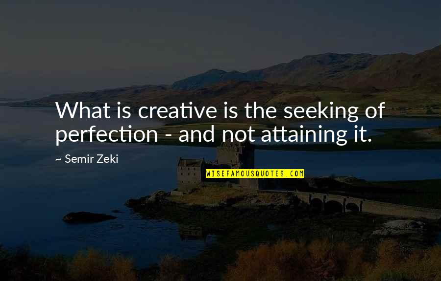 Cat Cora Quotes By Semir Zeki: What is creative is the seeking of perfection