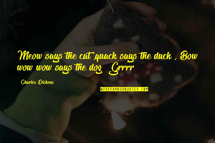 Cat Dog Quotes By Charles Dickens: Meow says the cat ,quack says the duck