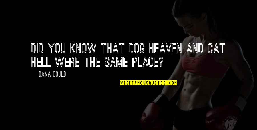 Cat Dog Quotes By Dana Gould: Did you know that Dog Heaven and Cat