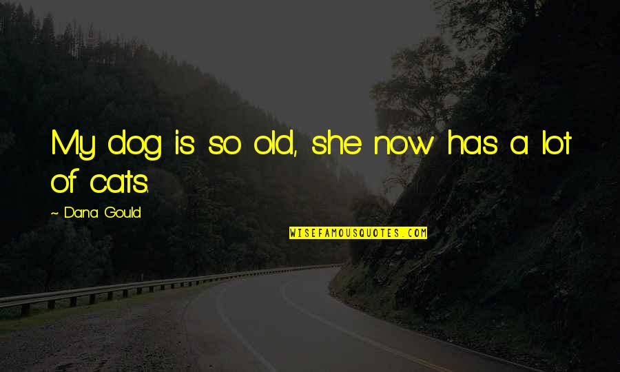 Cat Dog Quotes By Dana Gould: My dog is so old, she now has