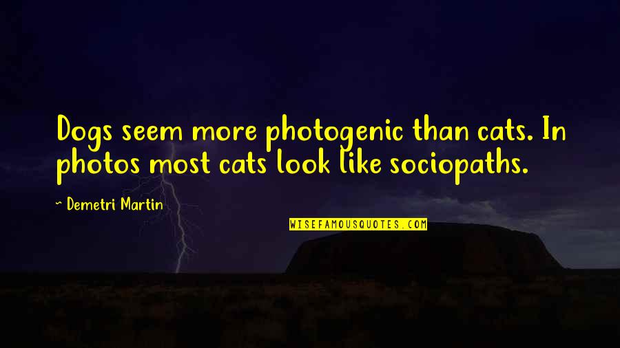 Cat Dog Quotes By Demetri Martin: Dogs seem more photogenic than cats. In photos