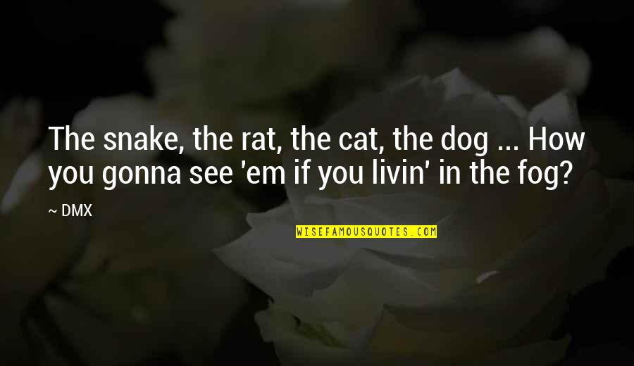 Cat Dog Quotes By DMX: The snake, the rat, the cat, the dog