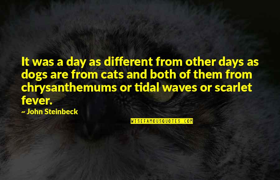Cat Dog Quotes By John Steinbeck: It was a day as different from other