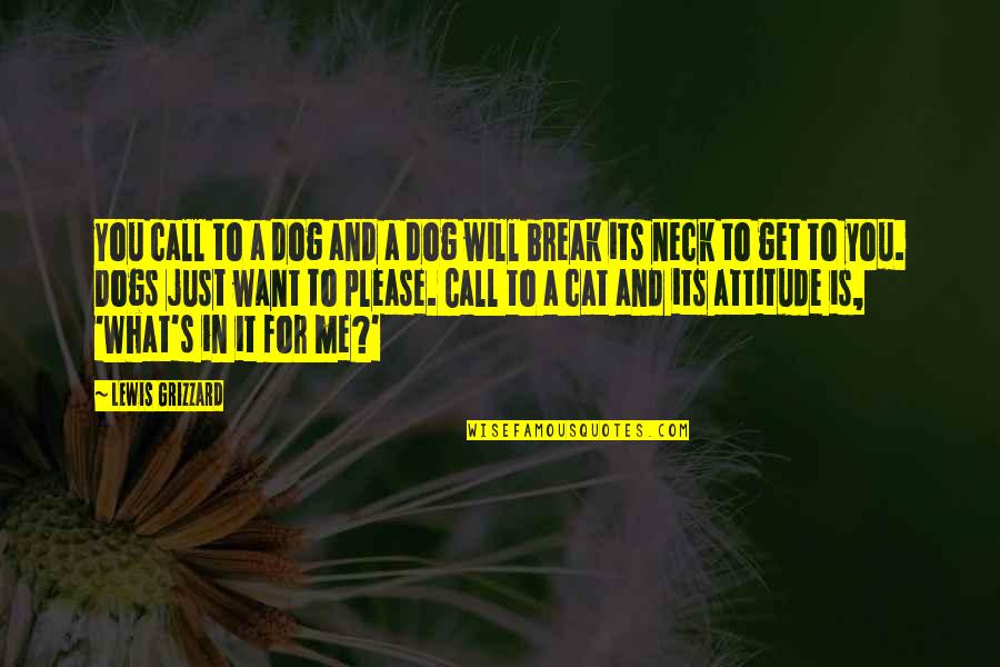 Cat Dog Quotes By Lewis Grizzard: You call to a dog and a dog