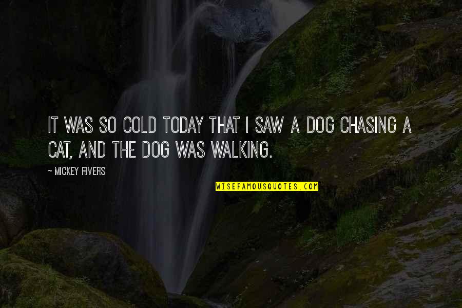 Cat Dog Quotes By Mickey Rivers: It was so cold today that I saw