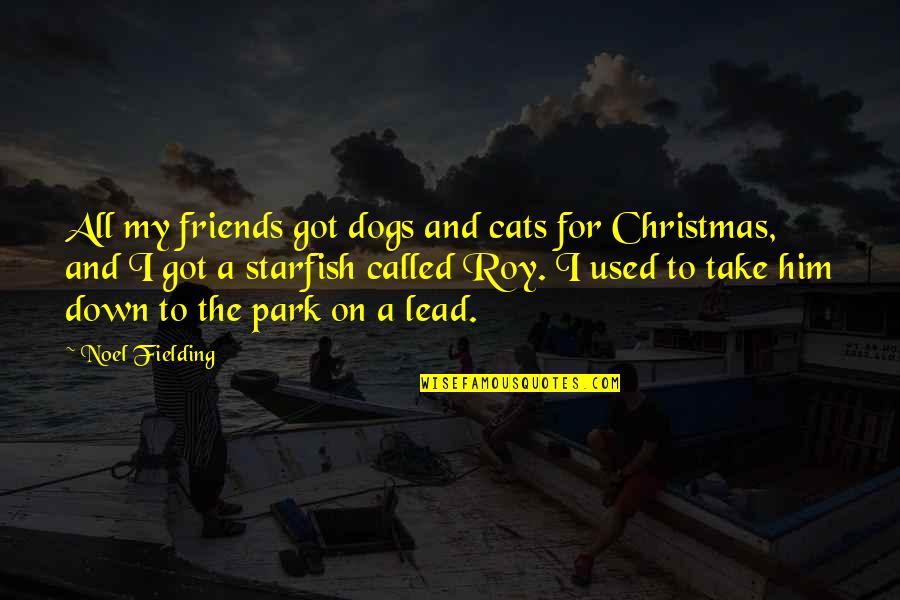 Cat Dog Quotes By Noel Fielding: All my friends got dogs and cats for