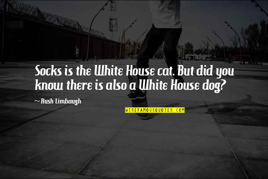 Cat Dog Quotes By Rush Limbaugh: Socks is the White House cat. But did