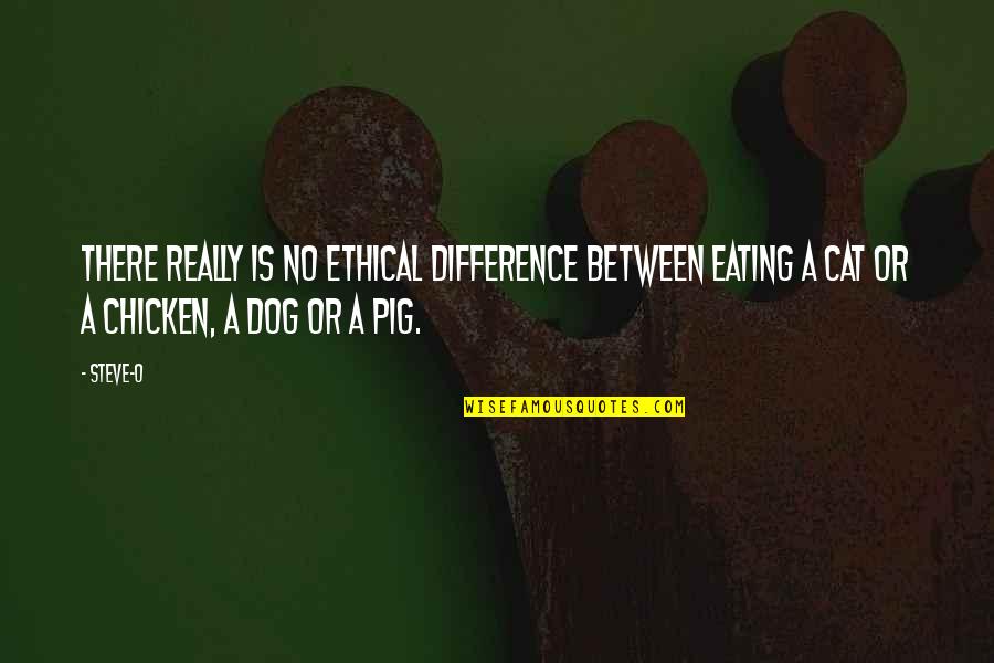 Cat Dog Quotes By Steve-O: There really is no ethical difference between eating