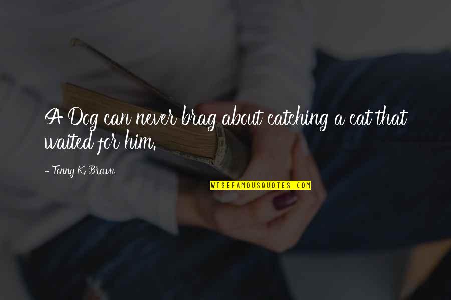 Cat Dog Quotes By Tonny K. Brown: A Dog can never brag about catching a