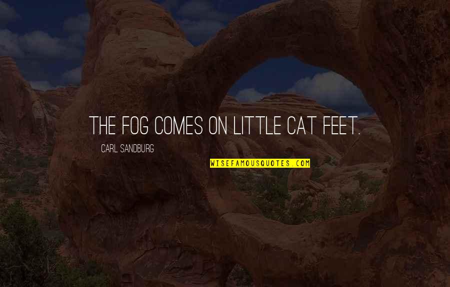 Cat Feet Quotes By Carl Sandburg: The fog comes on little cat feet.