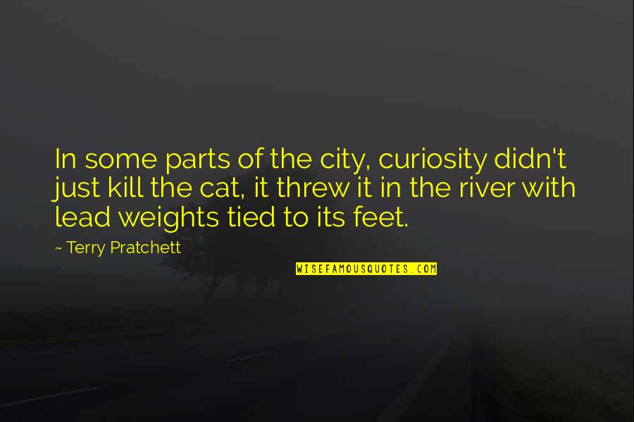 Cat Feet Quotes By Terry Pratchett: In some parts of the city, curiosity didn't