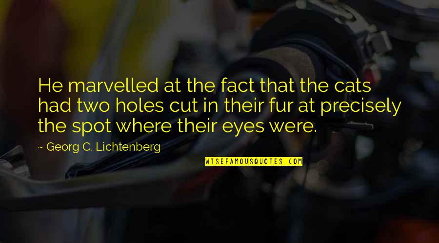 Cat Fur Quotes By Georg C. Lichtenberg: He marvelled at the fact that the cats Cat Fur Quotes By Georg C. Lichtenberg: He marvelled at the fact that the cats