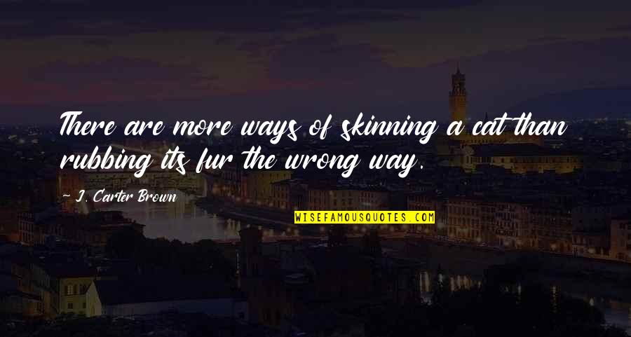 Cat Fur Quotes By J. Carter Brown: There are more ways of skinning a cat