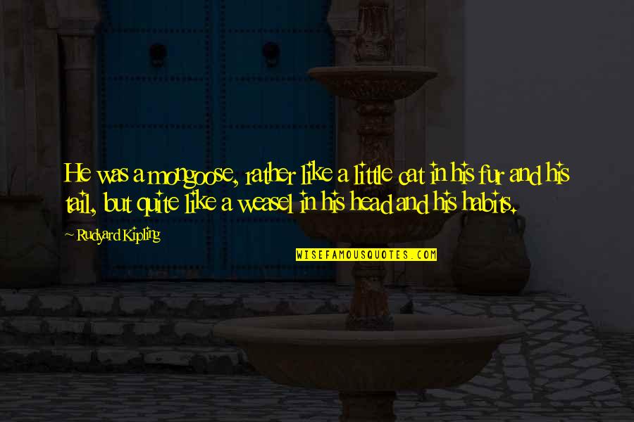 Cat Fur Quotes By Rudyard Kipling: He was a mongoose, rather like a little Cat Fur Quotes By Rudyard Kipling: He was a mongoose, rather like a little