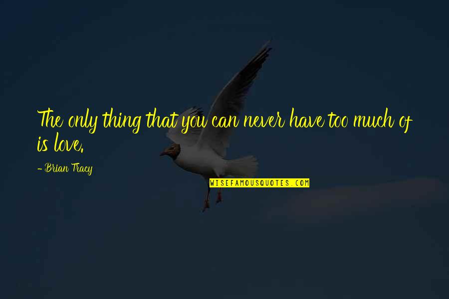 Cat Hater Quotes By Brian Tracy: The only thing that you can never have