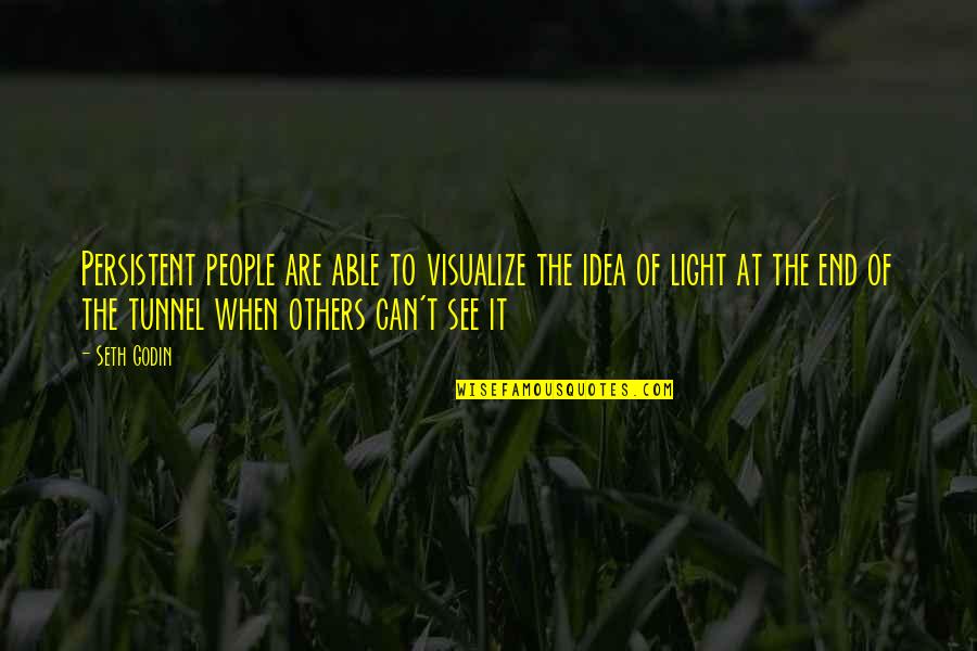 Cat Hater Quotes By Seth Godin: Persistent people are able to visualize the idea