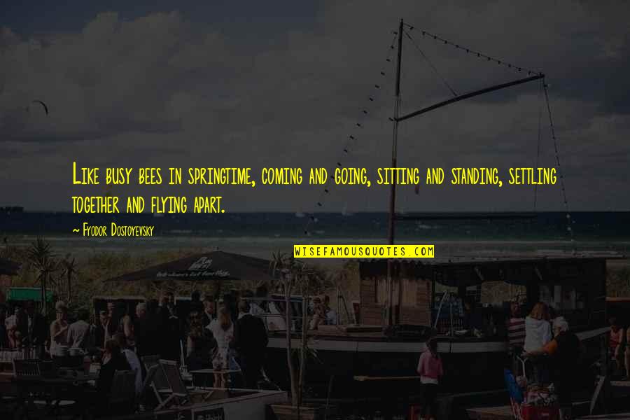 Cat Humour Quotes By Fyodor Dostoyevsky: Like busy bees in springtime, coming and going, Cat Humour Quotes By Fyodor Dostoyevsky: Like busy bees in springtime, coming and going,