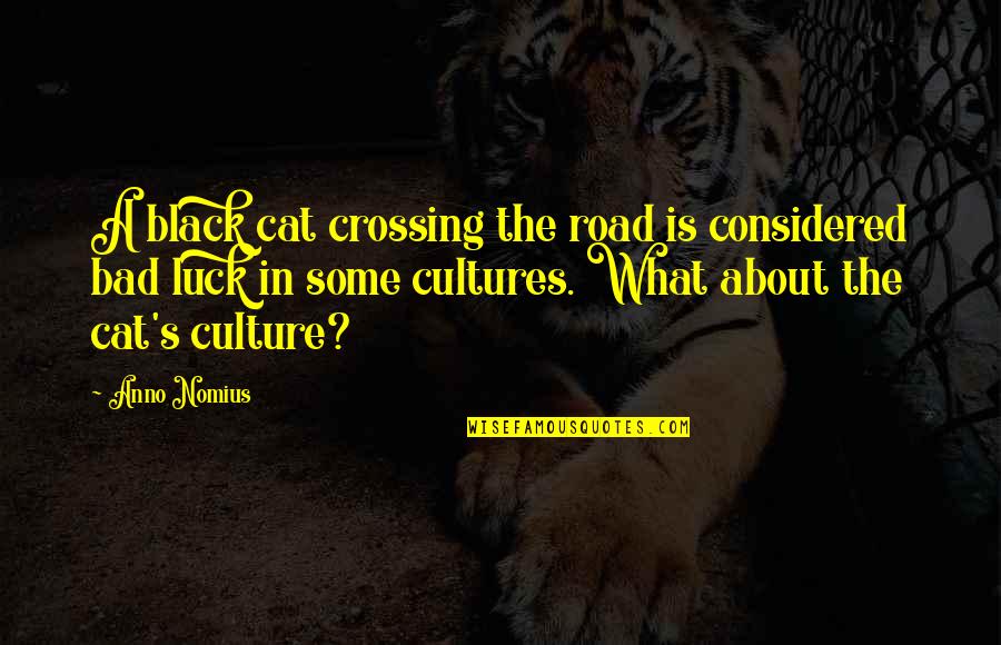 Cat In The Cat Quotes By Anno Nomius: A black cat crossing the road is considered