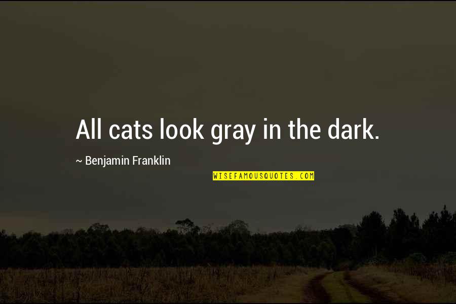 Cat In The Cat Quotes By Benjamin Franklin: All cats look gray in the dark.