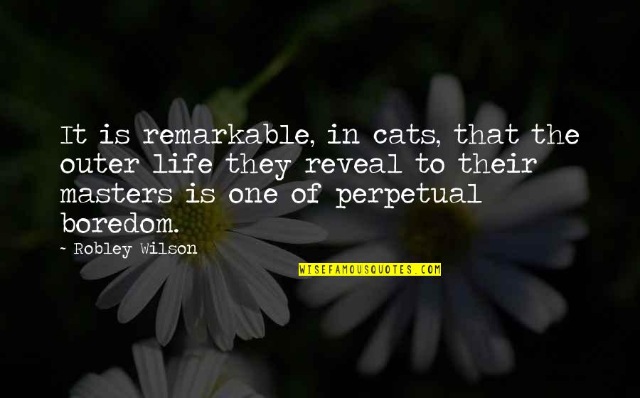 Cat In The Cat Quotes By Robley Wilson: It is remarkable, in cats, that the outer