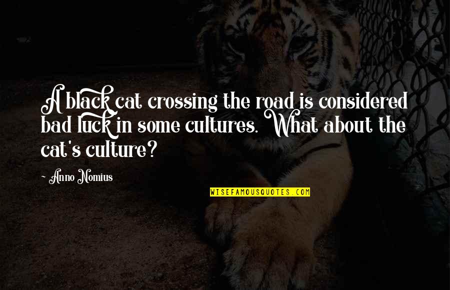 Cat In The Quotes By Anno Nomius: A black cat crossing the road is considered