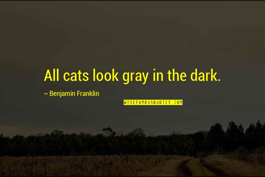 Cat In The Quotes By Benjamin Franklin: All cats look gray in the dark.