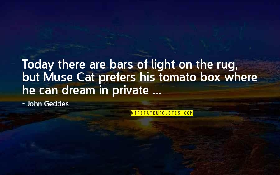 Cat In The Quotes By John Geddes: Today there are bars of light on the