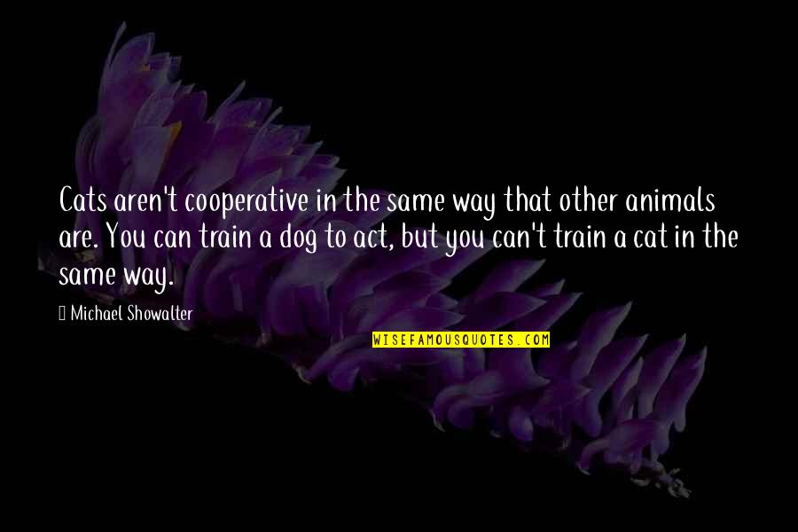 Cat In The Quotes By Michael Showalter: Cats aren't cooperative in the same way that