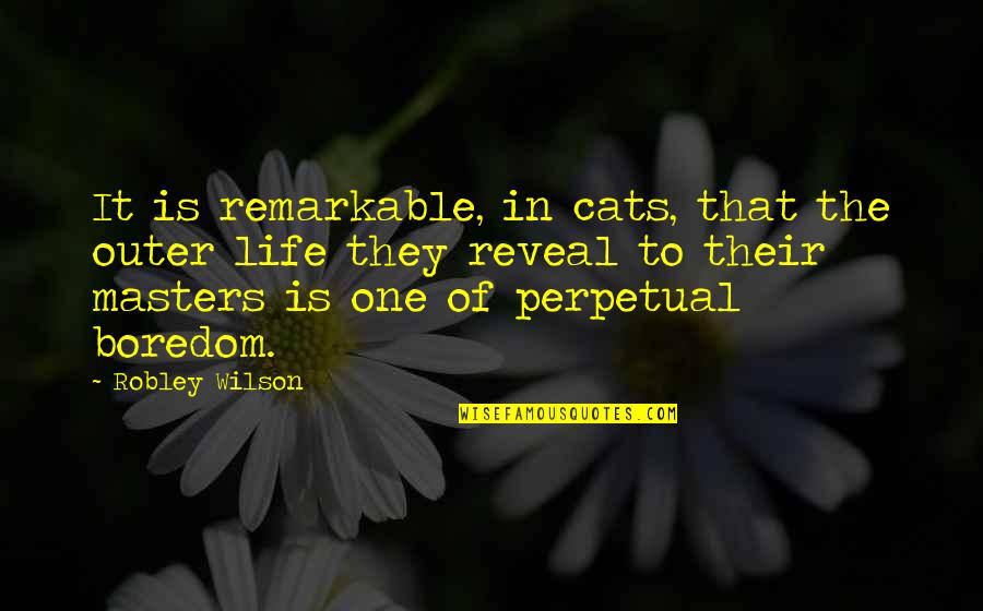 Cat In The Quotes By Robley Wilson: It is remarkable, in cats, that the outer