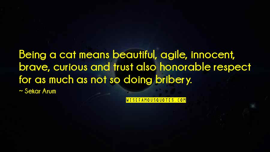 Cat Inspirational Quotes By Sekar Arum: Being a cat means beautiful, agile, innocent, brave, Cat Inspirational Quotes By Sekar Arum: Being a cat means beautiful, agile, innocent, brave,