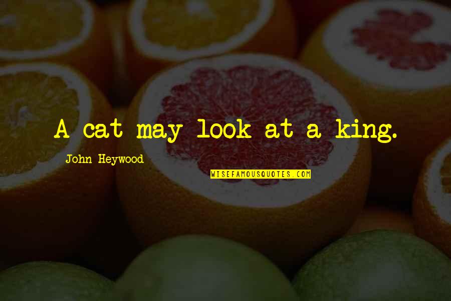Cat King Quotes By John Heywood: A cat may look at a king.
