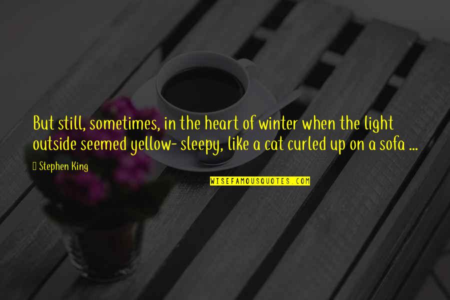 Cat King Quotes By Stephen King: But still, sometimes, in the heart of winter