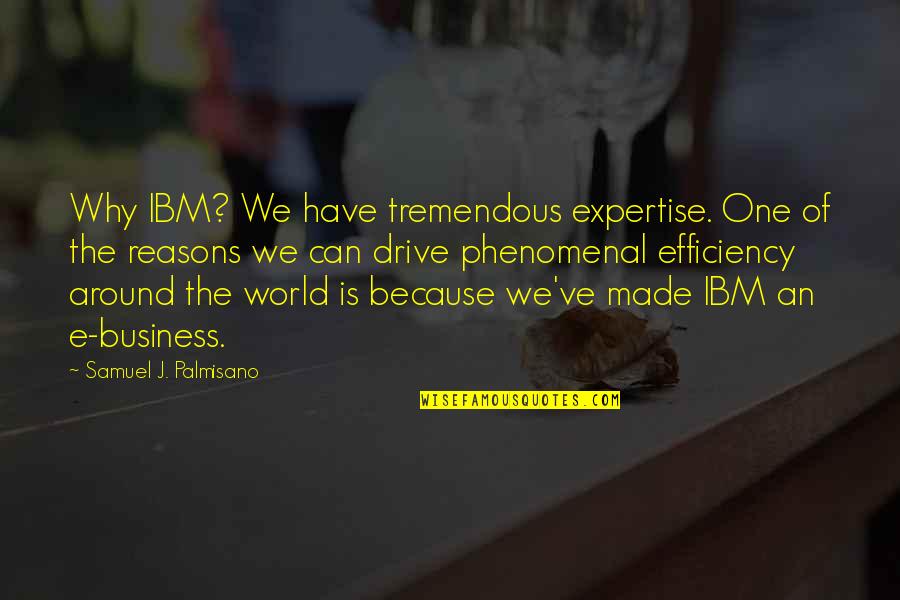 Cat Licas Quotes By Samuel J. Palmisano: Why IBM? We have tremendous expertise. One of