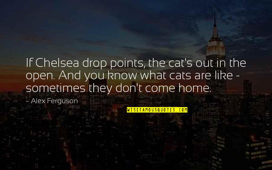 Cat Like Quotes By Alex Ferguson: If Chelsea drop points, the cat's out in