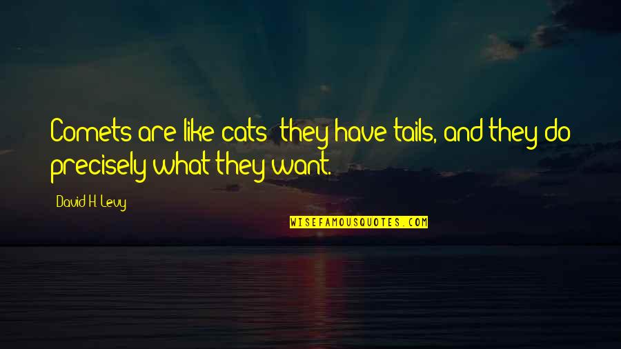 Cat Like Quotes By David H. Levy: Comets are like cats: they have tails, and