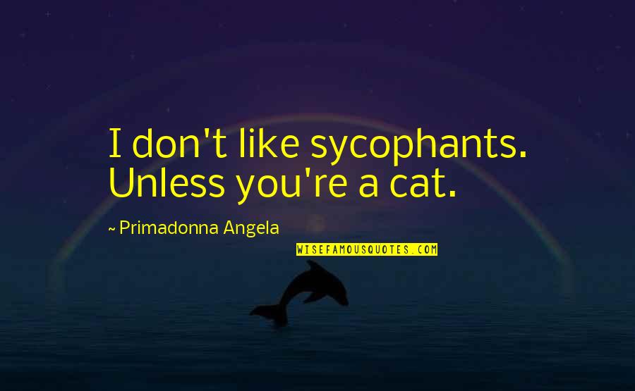 Cat Like Quotes By Primadonna Angela: I don't like sycophants. Unless you're a cat.