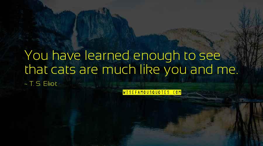 Cat Like Quotes By T. S. Eliot: You have learned enough to see that cats