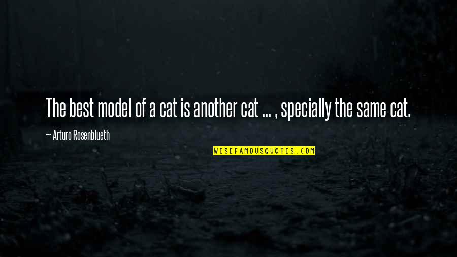 Cat Model Quotes By Arturo Rosenblueth: The best model of a cat is another