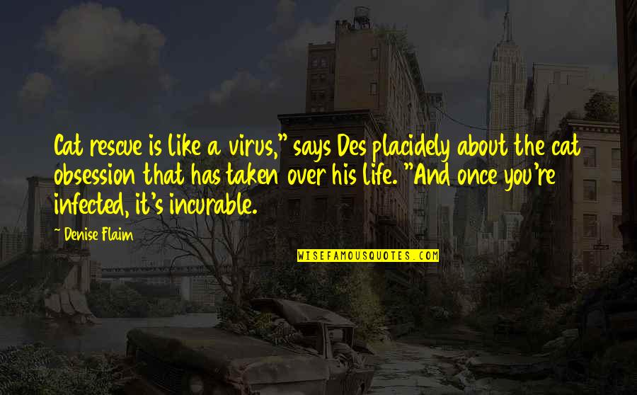 Cat Obsession Quotes By Denise Flaim: Cat rescue is like a virus," says Des