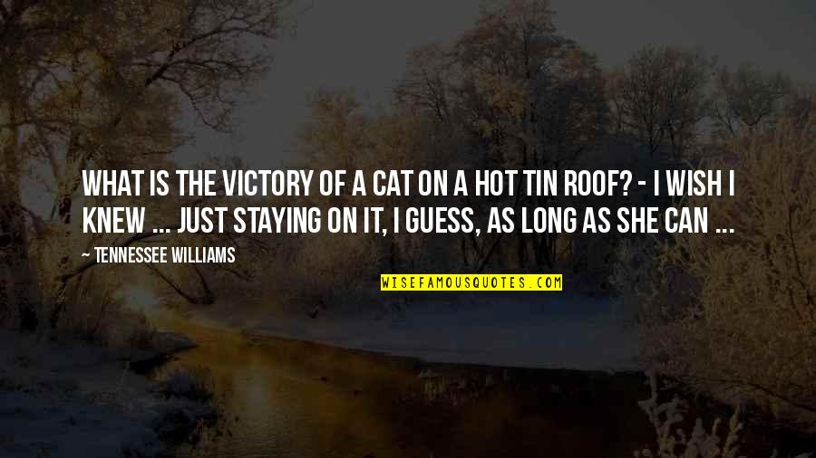 Cat On A Hot Tin Roof Quotes By Tennessee Williams: What is the victory of a cat on