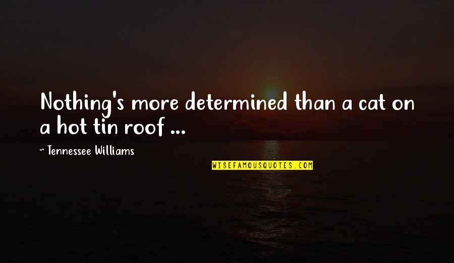 Cat On A Hot Tin Roof Quotes By Tennessee Williams: Nothing's more determined than a cat on a