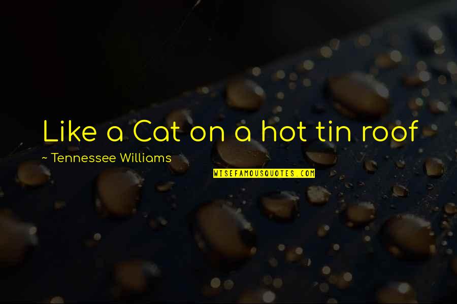 Cat On A Hot Tin Roof Quotes By Tennessee Williams: Like a Cat on a hot tin roof