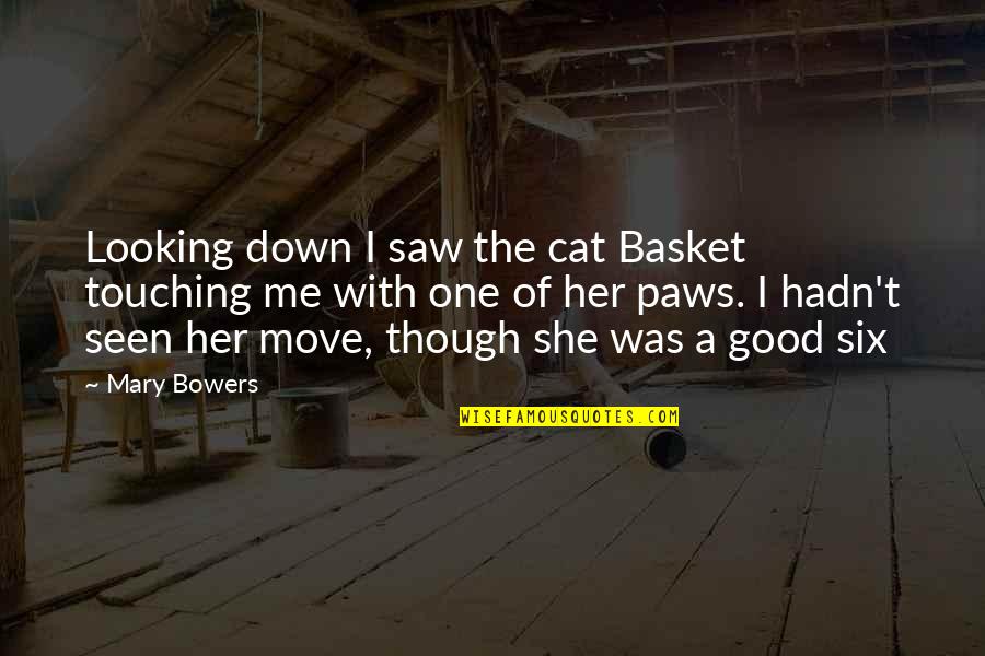 Cat Paws Quotes By Mary Bowers: Looking down I saw the cat Basket touching