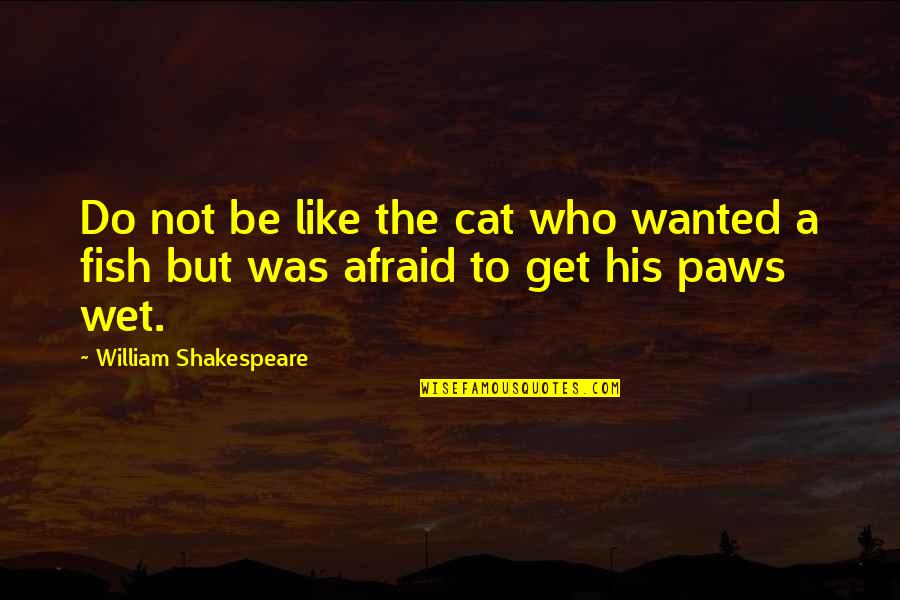 Cat Paws Quotes By William Shakespeare: Do not be like the cat who wanted